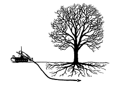 afbeelding binnen de regeling